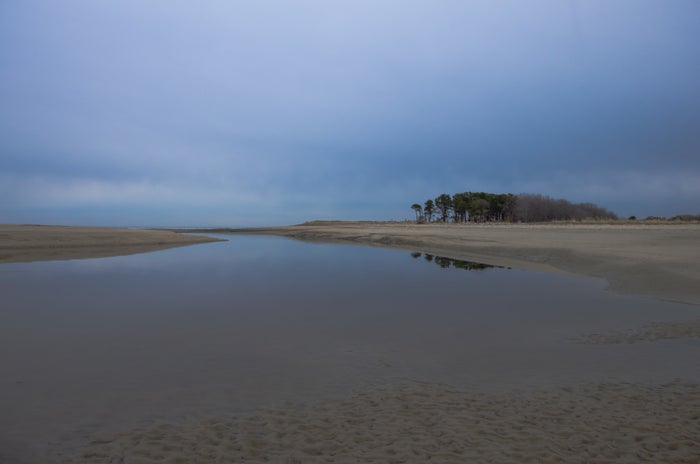 Laudholm Beach