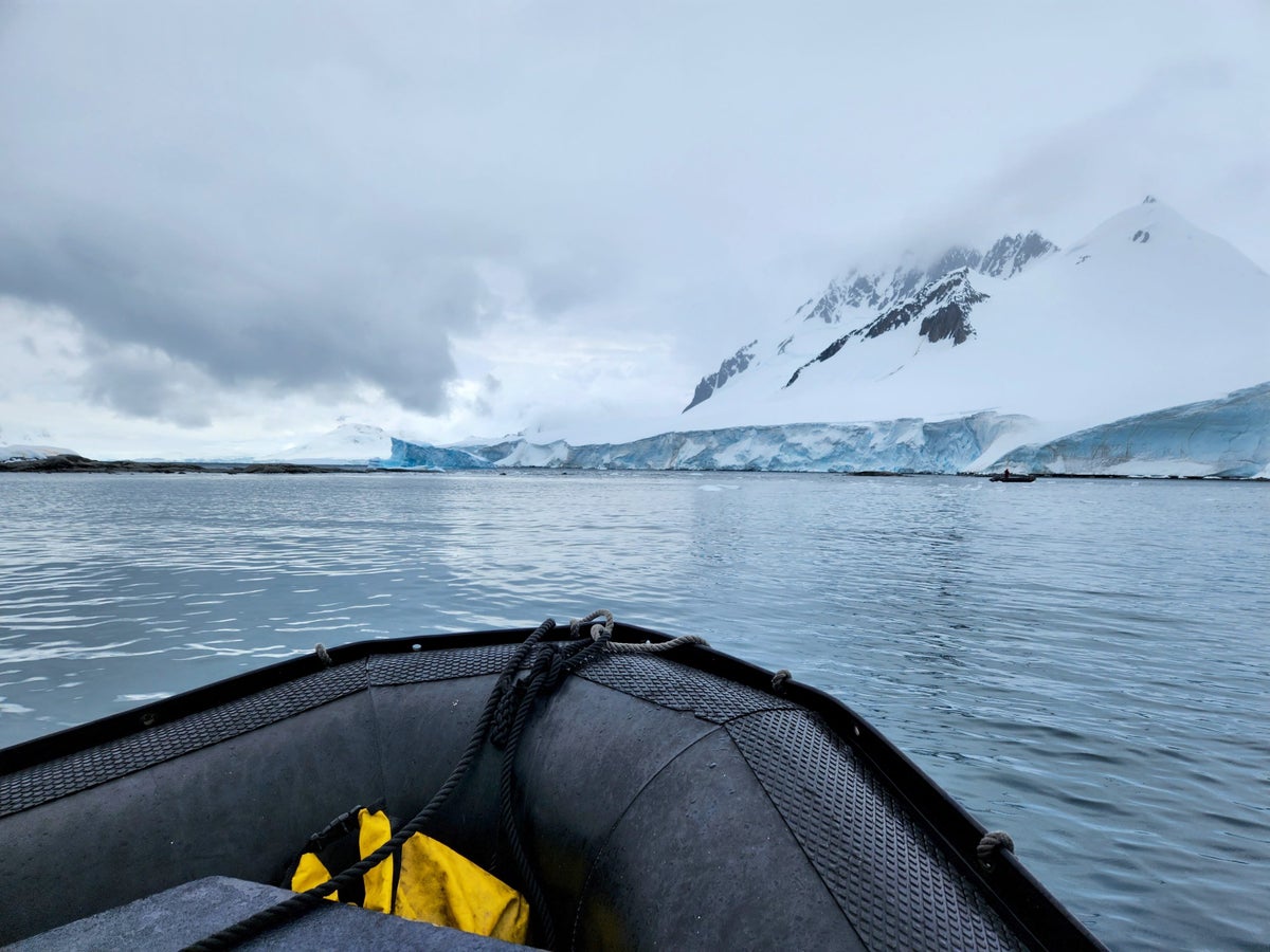 Ocean Endeavour Zodiac cruise