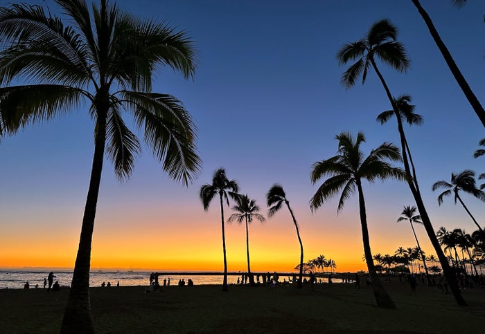 Sunset Oahu Hawaii Palm Trees Beach Sunset on Waikiki Beach Oahu Honolulu Hawaii