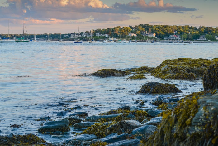 Willard Beach