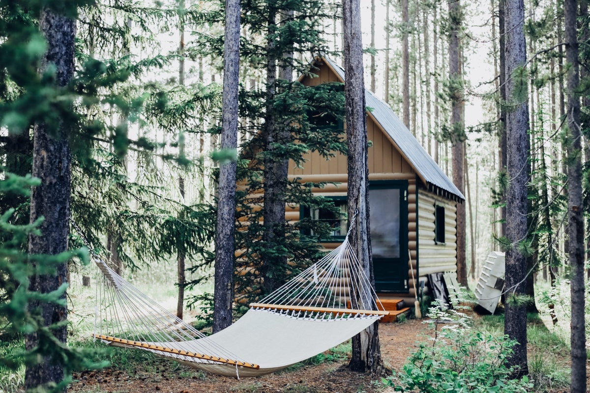 A vacation rental in the woods