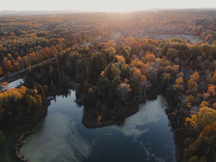 The Ultimate Guide to Cuyahoga Valley National Park — Best Things To Do, See & Enjoy!