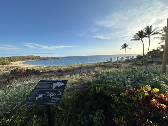 Four Seasons Lanai Oceanview