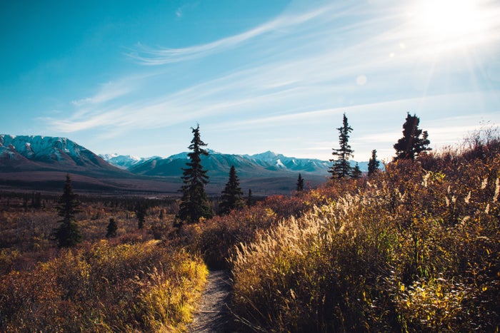 Hiking at Denali National Park and Preserve
