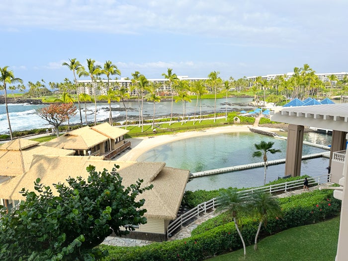 Hilton Waikoloa Village dolphin view