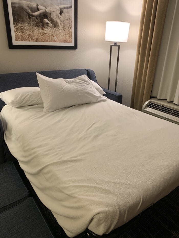 Sofa bed at Homewood Suites Austin Round Rock