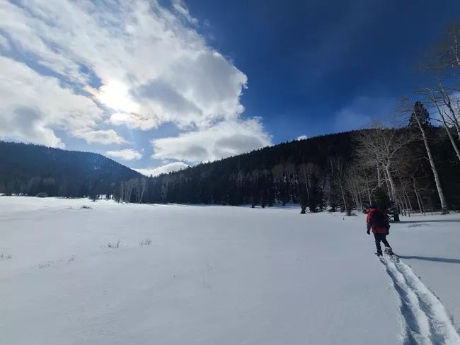 Winter Touring Great Basin
