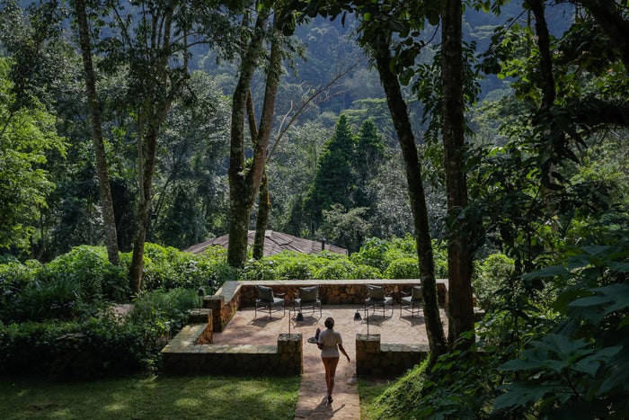 The view from Bwindi Lodge by Volcanoes Safari in Uganda. The view from Bwindi Lodge by Volcanoes Safari in Uganda.