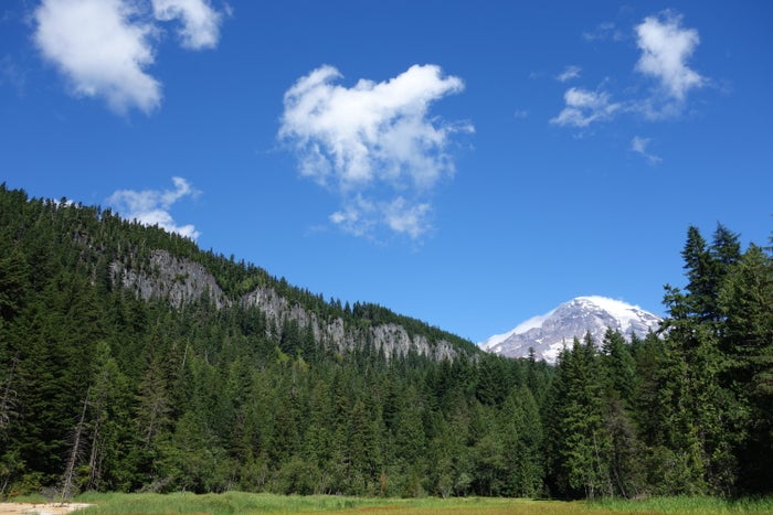 Hiking Mount Rainier National Park Hiking Mount Rainier National Park