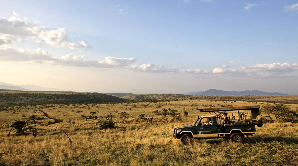 A woman on safari overlooks the land from inside of a jeep.