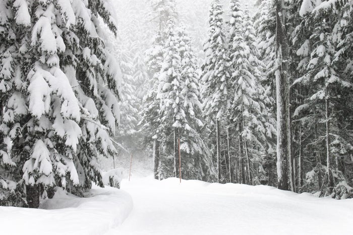 Mount Rainier National Park in Winter Mount Rainier National Park in Winter