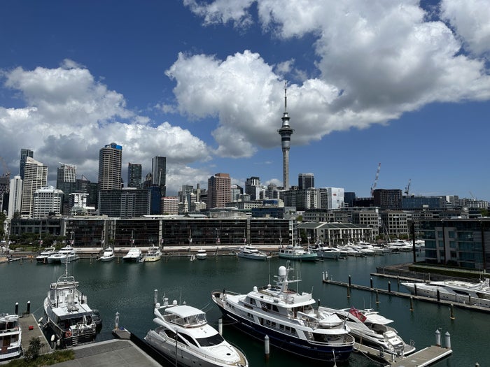 Auckland sky line Park Hyatt Auckland View from Room
