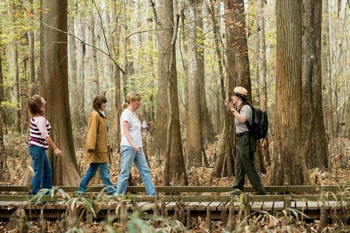 Ranger led programs Congaree National Park