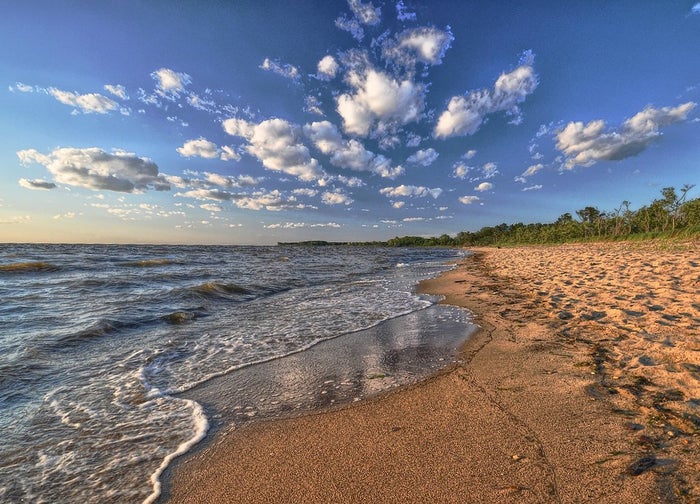 Terrapin Nature Park