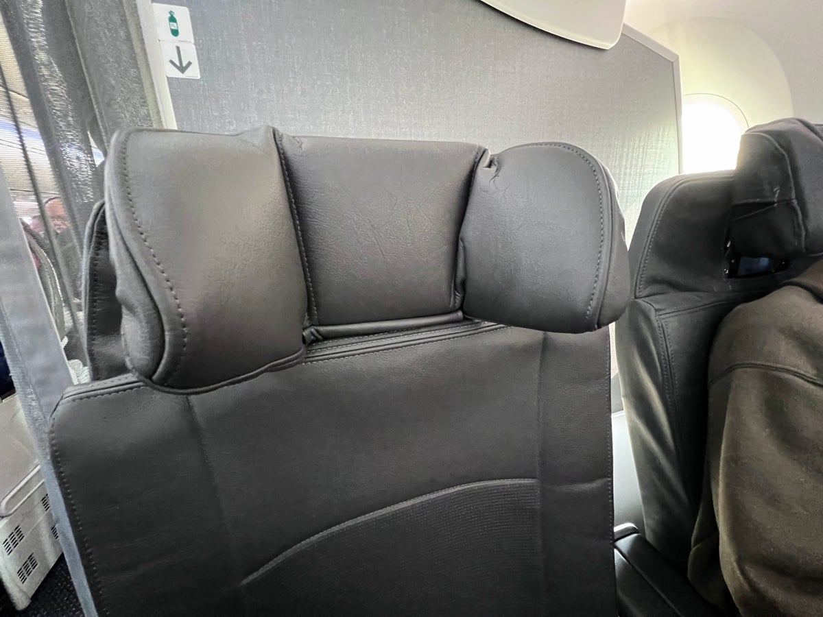 AA Premium Economy adjustable headrest