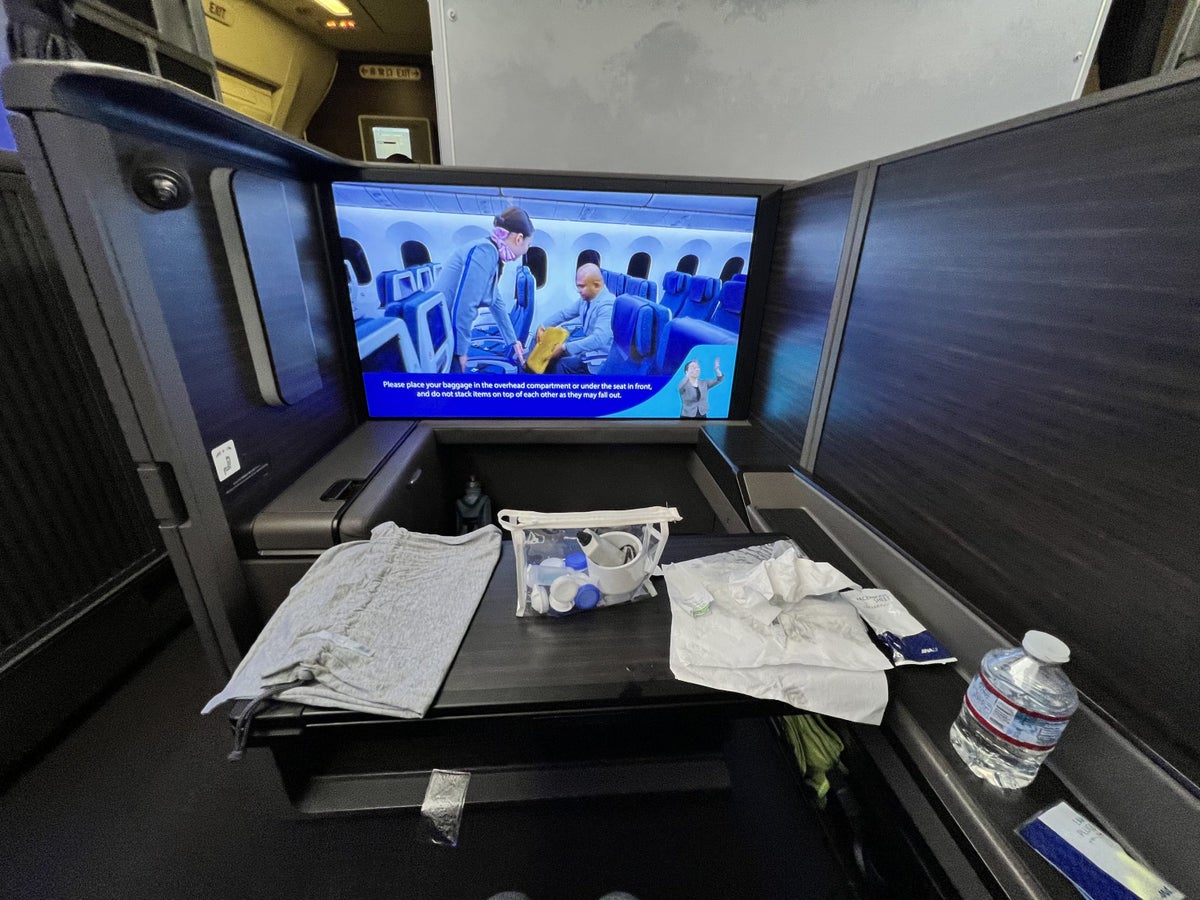 ANA First Class Tray Table