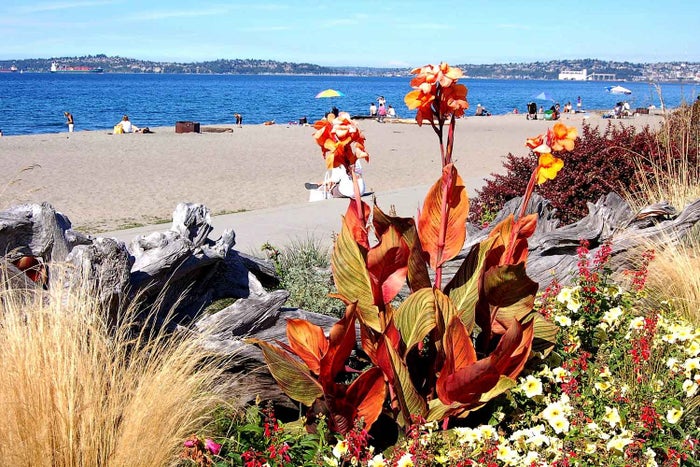 Alki Beach Alki Beach