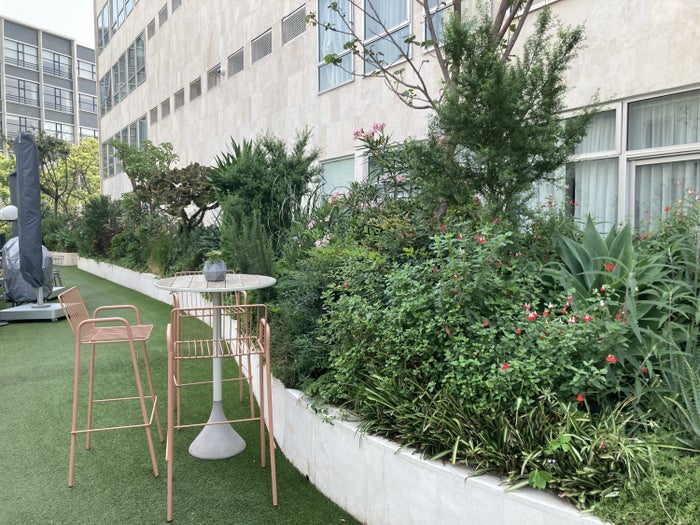 Andaz Mexico City Condesa Wooftop outdoor seating Andaz Mexico City Condesa Wooftop outdoor seating