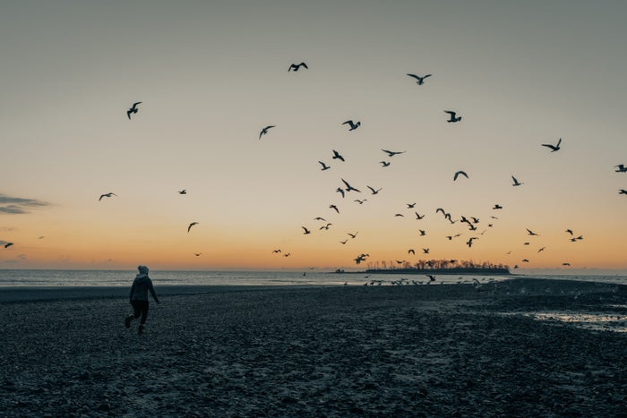 The 15 Best Beaches in Connecticut in 2023 [With Detailed Map]