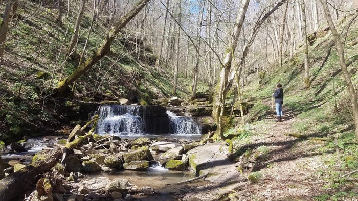 Big Branch Trail