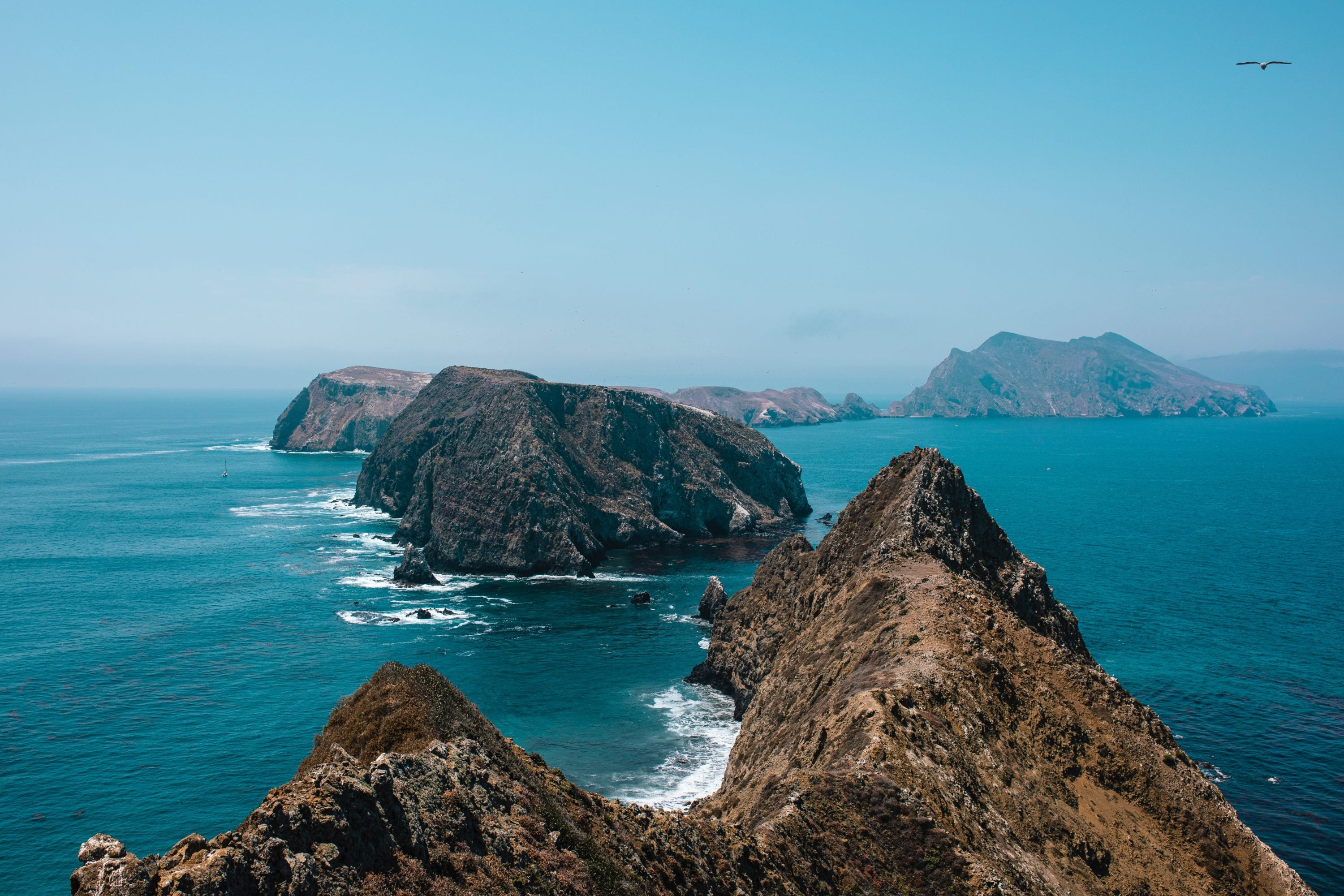 Seal and Sea Lion Viewing - Channel Islands National Park (U.S.