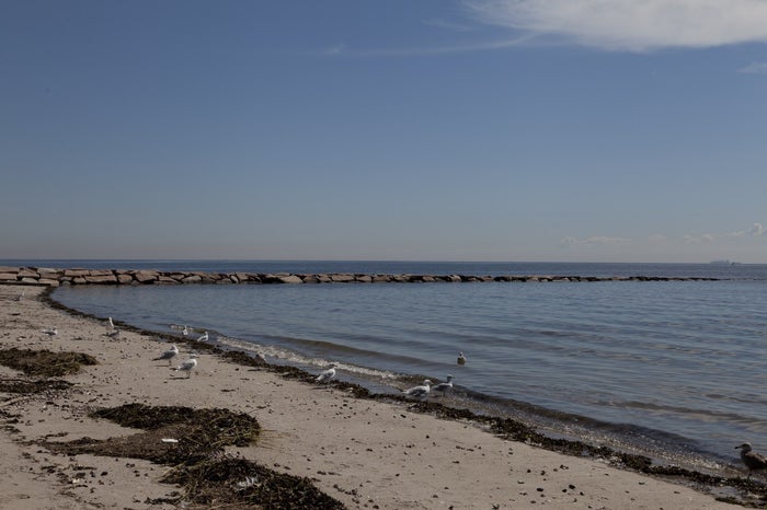 Compo Beach