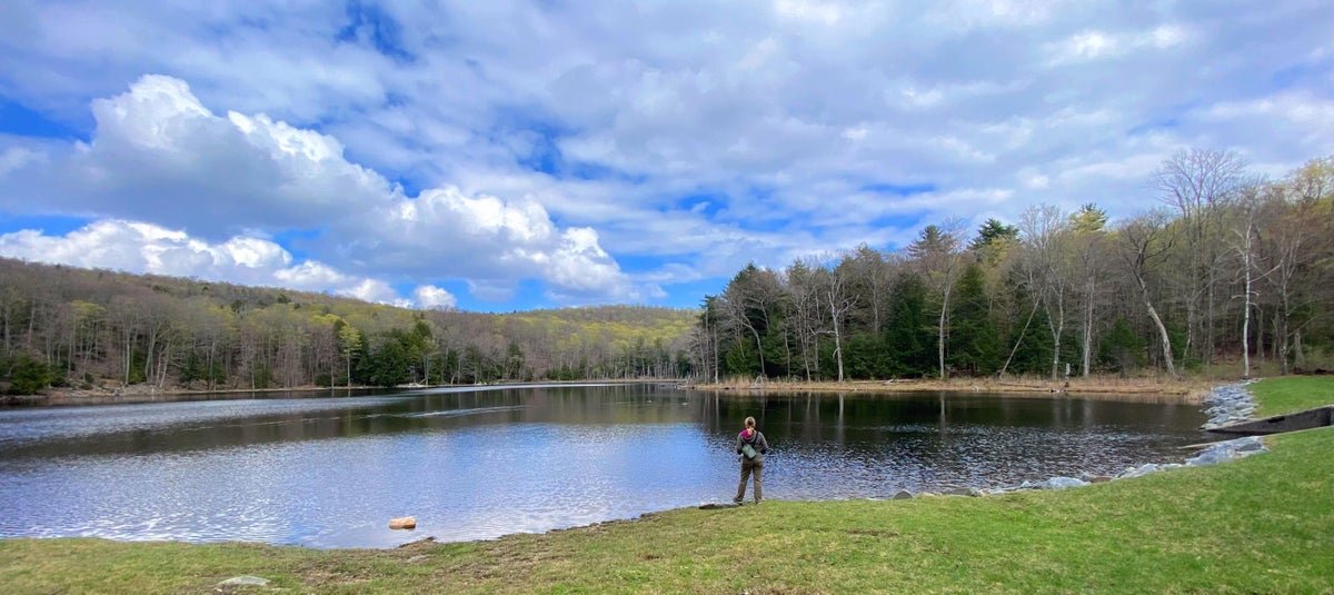 Felton Lake in Massachusetts