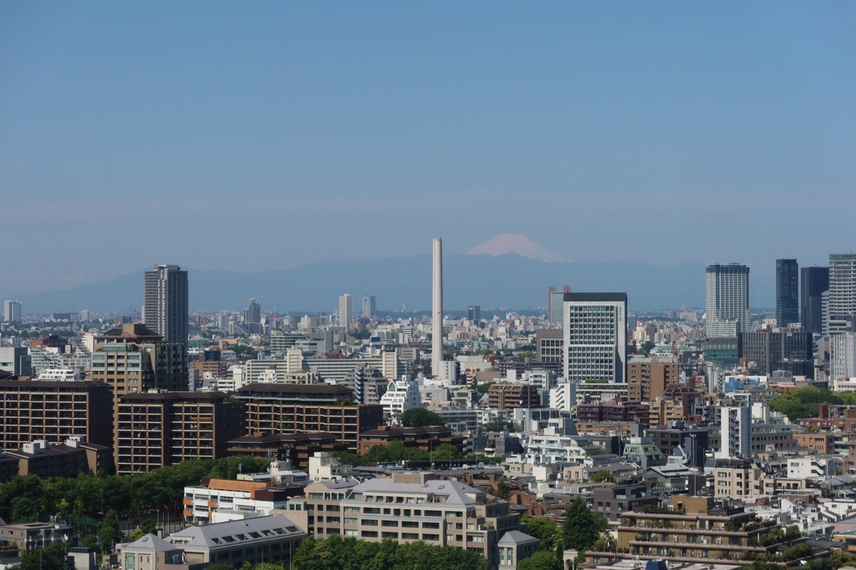 Grand Hyatt Tokyo Mount Fuji Views
