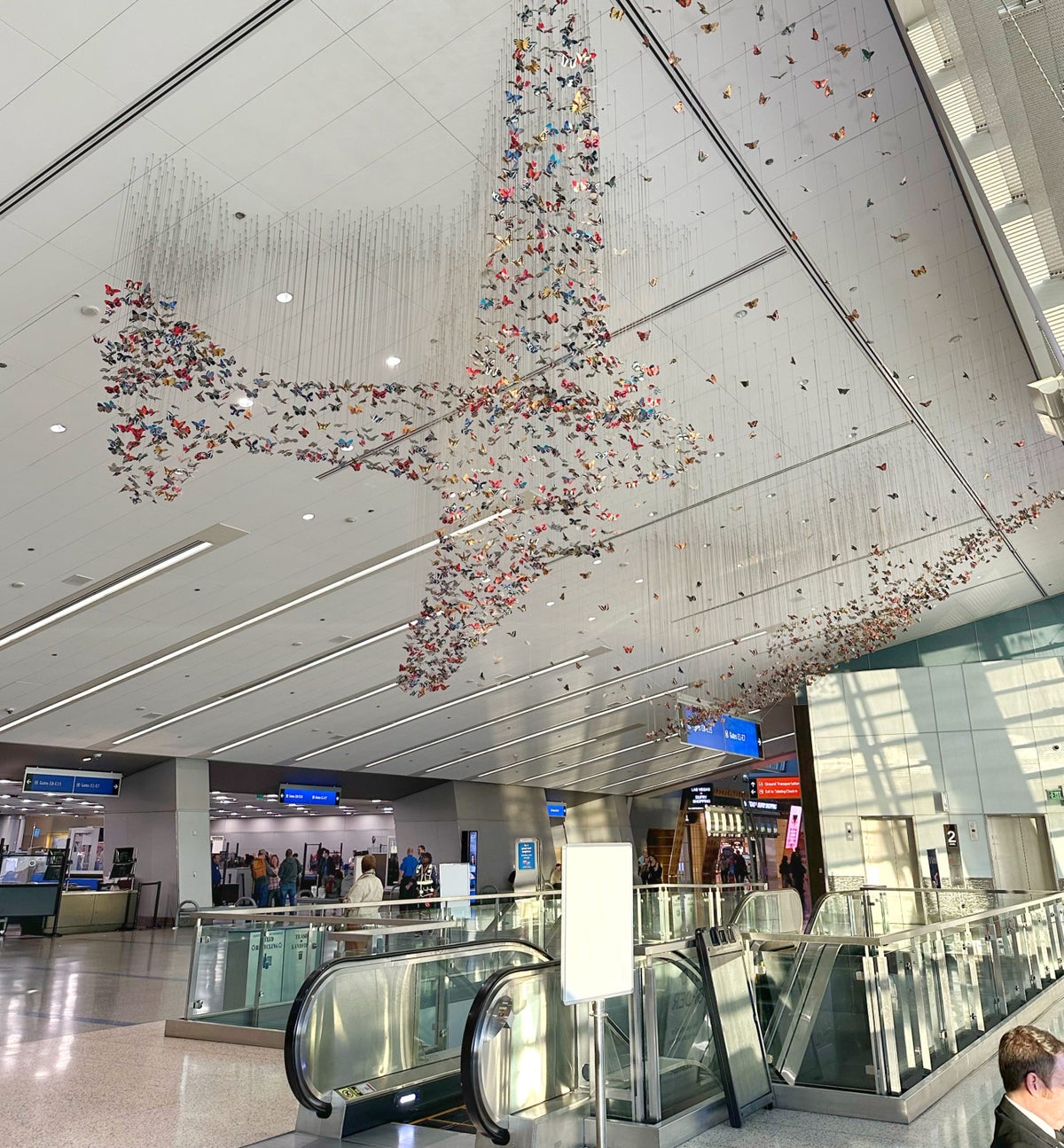 Harry Reid International Airport LAS plane art