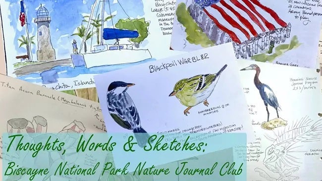 Nature Journaling Club