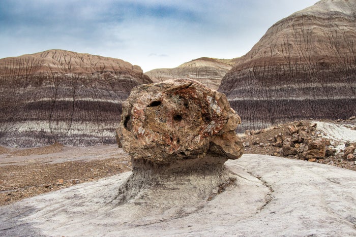 The Ultimate Guide to Petrified Forest National Park — Best Things To Do, See & Enjoy!
