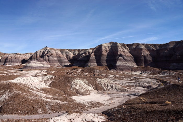 Petrified Forest National Park Petrified Forest National Park