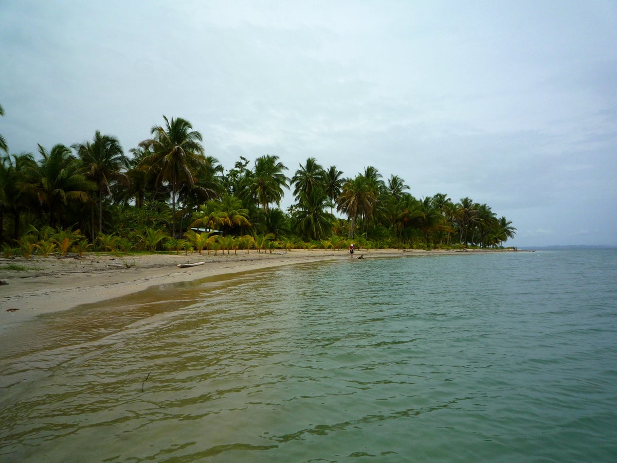 Playa Boca del Drago
