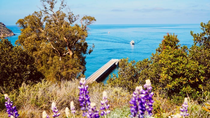 Santa Cruz Island Channel Islands National Park
