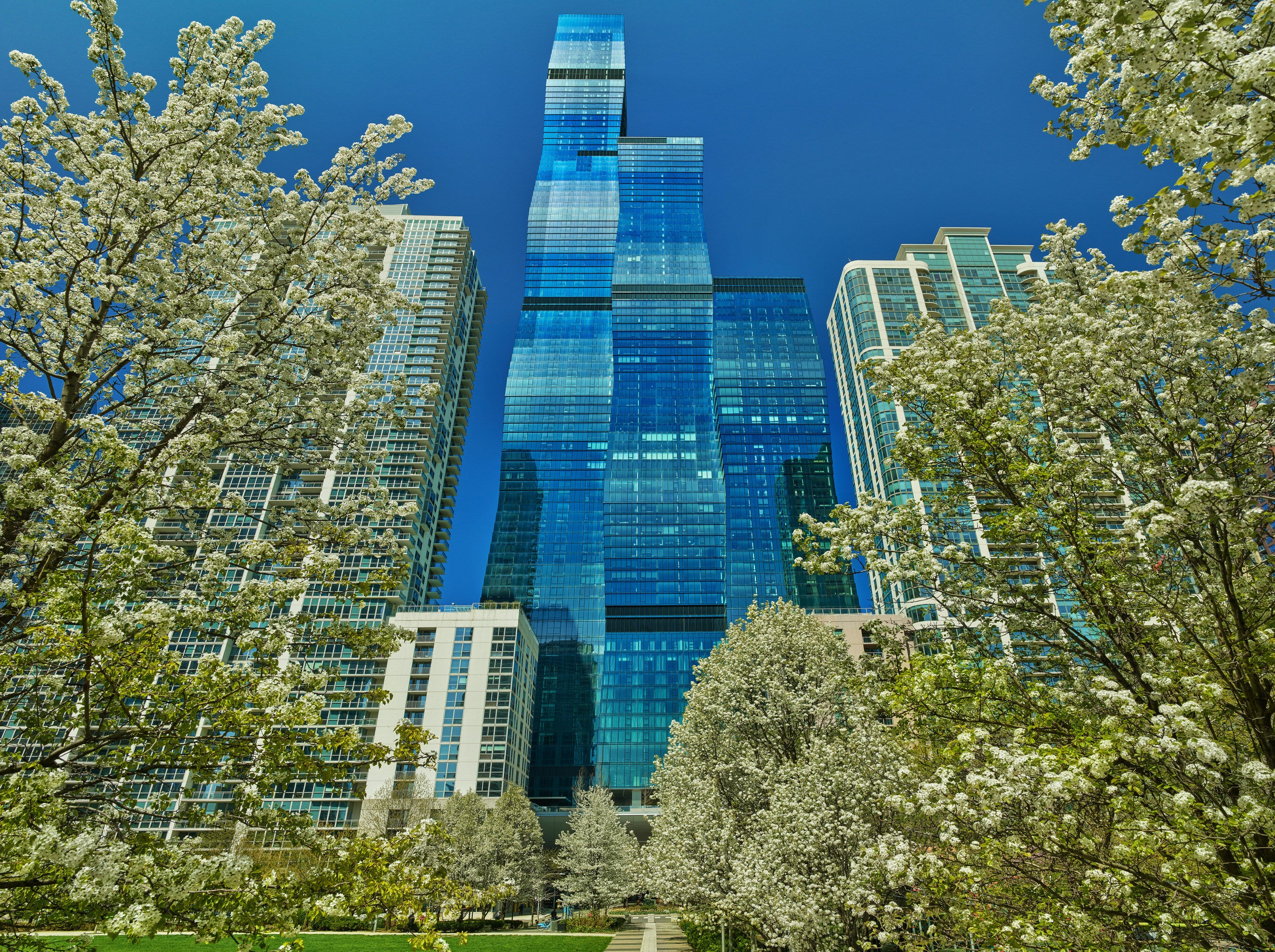 A photo of the front of St. Regis Chicago surrounded by trees.