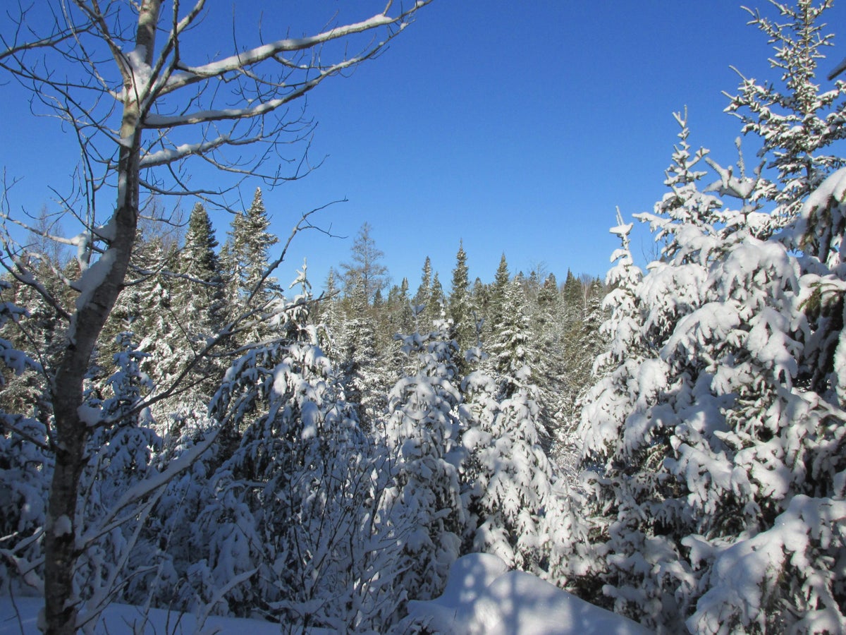 Voyageurs National Park in Winter