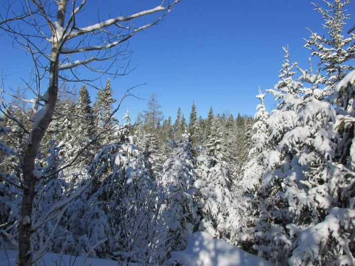 Voyageurs National Park in Winter Voyageurs National Park in Winter