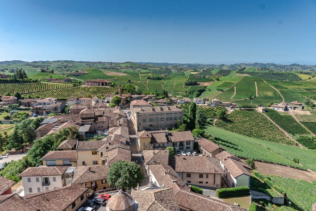 A vineyard and village in Piedmont