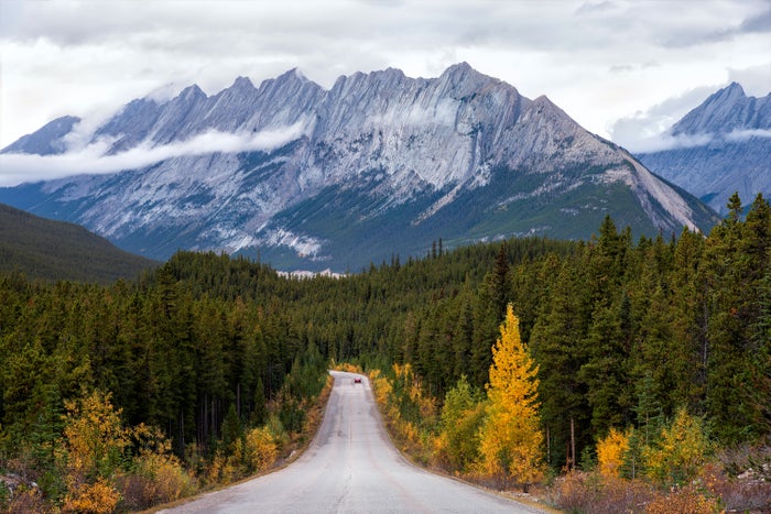 Driving to Jasper National Park