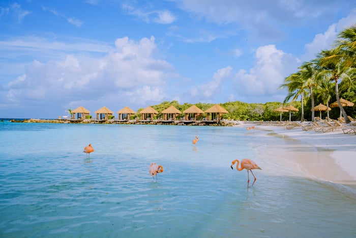 Flamingo Beach Aruba
