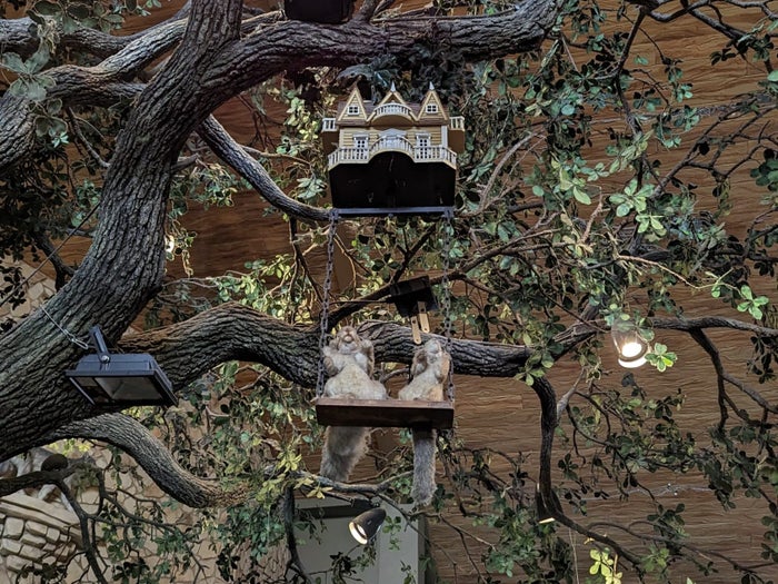 Great Wolf Lodge Grapevine activities MagiQuest squirrels Great Wolf Lodge Grapevine MagiQuest squirrels