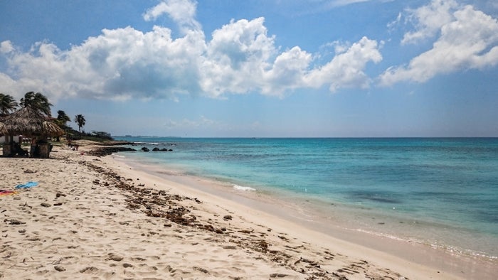 Hadicurari Aruba