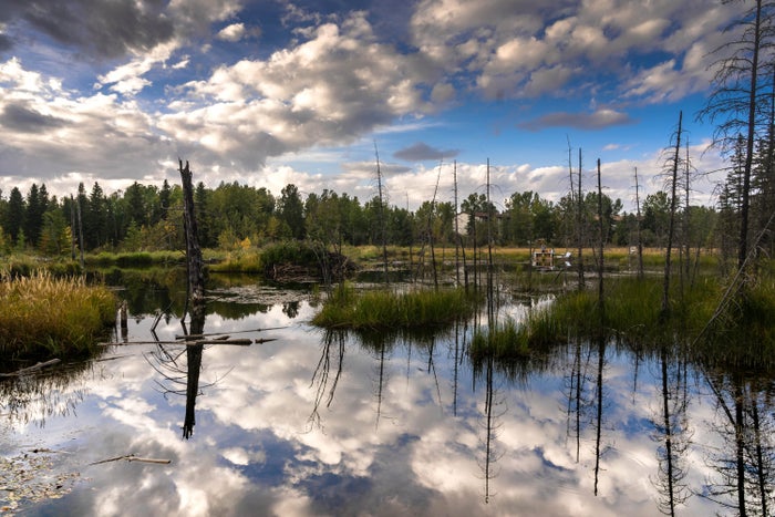 Hinton Canada