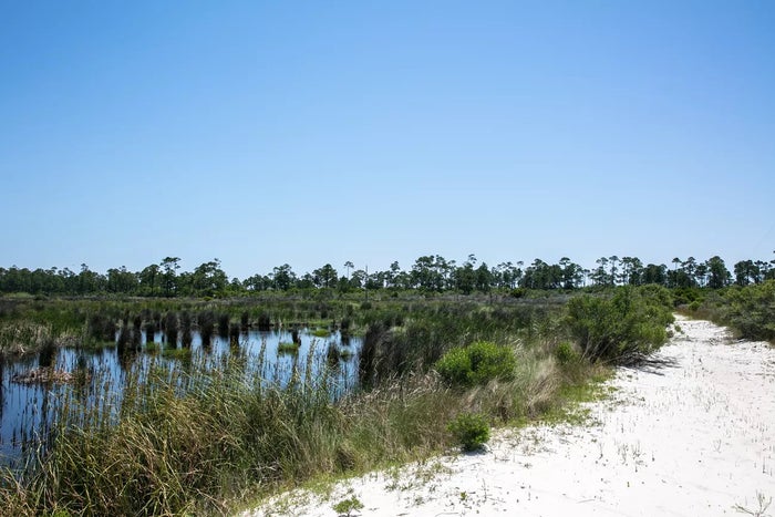 Horn Island Horn Island