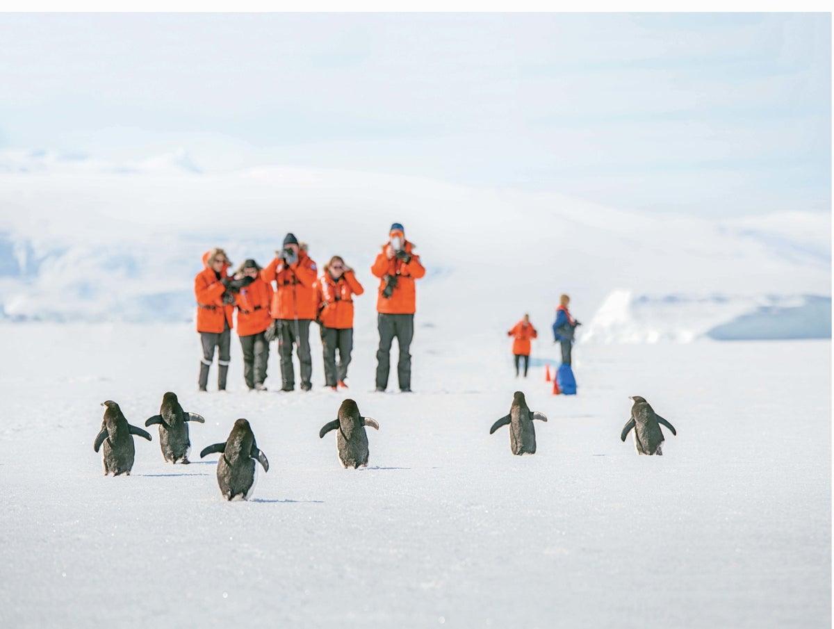 Adelie penguins and guests on the fast ice in Hanusse Bay in Antarctica.