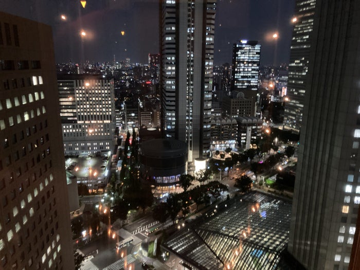 Hyatt Regency Tokyo view from elevator