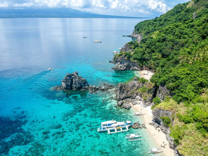 Apo Island Apo Island