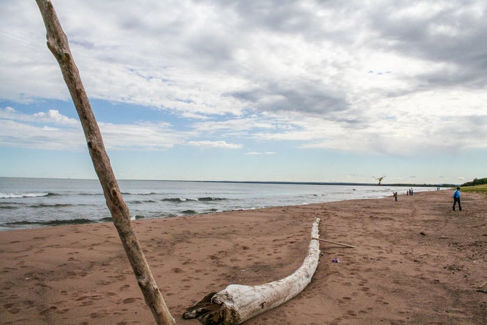 The 10 Best Beaches in Minnesota [2023]