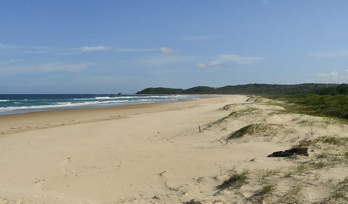 Bongil Beach Bongil Beach