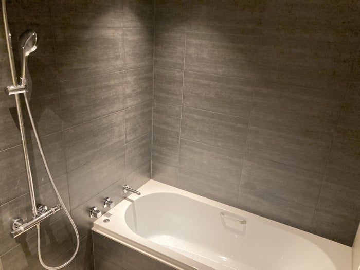 Fuji Speedway Hotel Grand Prix Corner King Suite bathroom shower tub Fuji Speedway Hotel Grand Prix Corner King Suite bathroom shower tub